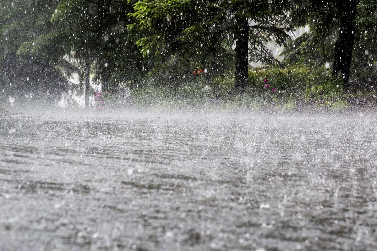 यूपी-बिहार में गर्मी से बेहाल लोगों के लिए राहत की खबर! IMD ने भारी बारिश और वज्रपात की जारी की चेतावनी